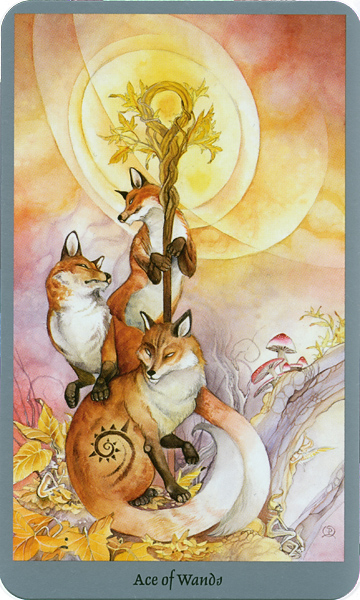 Ace of Wands